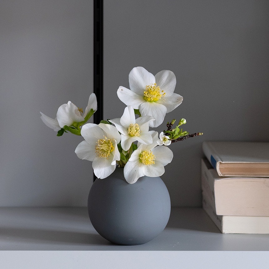 COOEE �������� Ball Vase ľ��10cm  �̲� ���� �ݤ� ƫ�� ������� �ե��١��� �ݷ� ���� �����ޤ� �ܡ��뷿 �� ������ ���� ���襤�� ����ƥꥢ ���� �̲�����  ������̵����