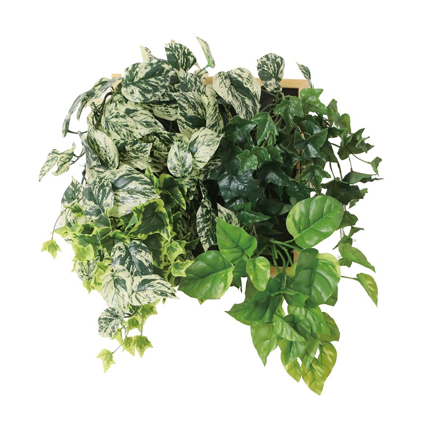 �ե��������꡼�� �ɳݤ� ���å��ե졼�� ����󥸥ʥ����� B �⤵55cm  �ե����� ���꡼�� �ɳݤ� �� �ե졼�� ������� �緿 ���� �����в� ����ƥꥢ ���� ���� ��ӥ� ���ե��� ���ե� ����å� Ź��  ������̵����