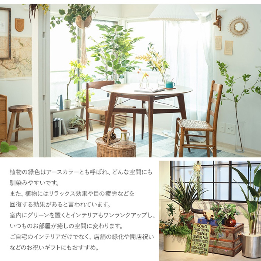 �ե��������꡼�� �ɳݤ� ���å��ե졼�� ����󥸥ʥ����� B �⤵55cm  �ե����� ���꡼�� �ɳݤ� �� �ե졼�� ������� �緿 ���� �����в� ����ƥꥢ ���� ���� ��ӥ� ���ե��� ���ե� ����å� Ź��  ������̵����