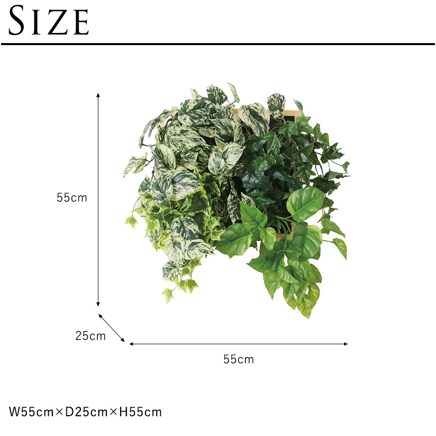 �ե��������꡼�� �ɳݤ� ���å��ե졼�� ����󥸥ʥ����� B �⤵55cm  �ե����� ���꡼�� �ɳݤ� �� �ե졼�� ������� �緿 ���� �����в� ����ƥꥢ ���� ���� ��ӥ� ���ե��� ���ե� ����å� Ź��  ������̵����