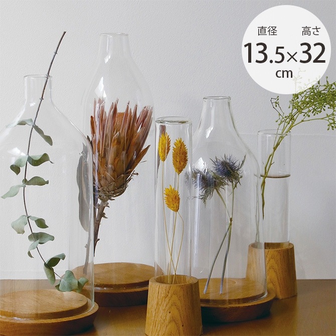 ����ƥꥢ���� ������� ���饹�ɡ��� �ۡ��� �ץ꡼�� ��塼�����饹 �ǥ����ץ쥤�ɡ��� ������� L  ���� ���֥��� ����ƥꥢ ���� �̲�