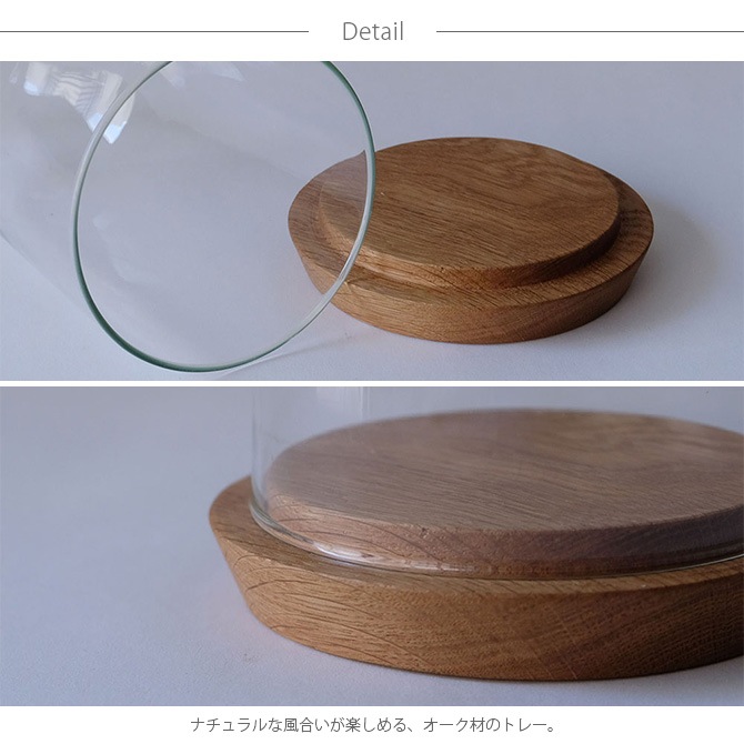 ����ƥꥢ���� ������� ���饹�ɡ��� �ۡ��� �ץ꡼�� ��塼�����饹 �ǥ����ץ쥤�ɡ��� ������� L  ���� ���֥��� ����ƥꥢ ���� �̲�