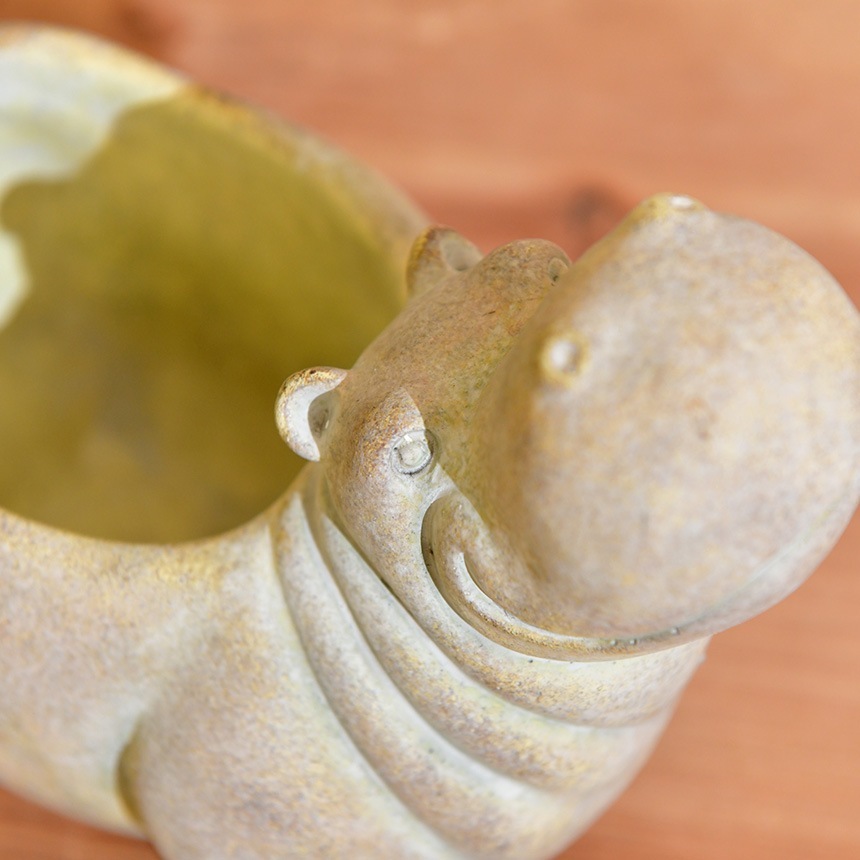 �ե��ݥå� ���� ȭ ���˥ޥ�ݥå� ���� HIPPO  �ץ�󥿡� ������ ��ʪ���� �ڥ�Ω�� �̲� ���֥��� ���� ���� ����ƥꥢ ���� ���եꥫ