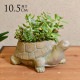 �ե��ݥå� ���� ȭ ���˥ޥ�ݥå� ���� TURTLE  �ץ�󥿡� ������ ��ʪ���� �ڥ�Ω�� �̲� ���֥��� ���� ���� �ꥯ���� ��������  ���å�