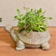 �ե��ݥå� ���� ȭ ���˥ޥ�ݥå� ���� TURTLE  �ץ�󥿡� ������ ��ʪ���� �ڥ�Ω�� �̲� ���֥��� ���� ���� �ꥯ���� ��������  ���å�