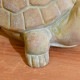 �ե��ݥå� ���� ȭ ���˥ޥ�ݥå� ���� TURTLE  �ץ�󥿡� ������ ��ʪ���� �ڥ�Ω�� �̲� ���֥��� ���� ���� �ꥯ���� ��������  ���å�