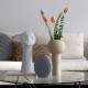 COOEE �������� �̲� ���� �ѥ��ƥ�����١��� ��20cm  �ե��١��� ������� ƫ�� �� �� �߷� ���� ���� �������� ʿ�٤ä��� �̲����� �ץ쥼��� ���ե� ��������  ������̵����