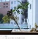 ���� �����ޤ� ���饹 ������� �ۡ��� �ץ꡼�� ��塼�����饹 �ե��١��� �������� L  �̲� ����ƥꥢ ����