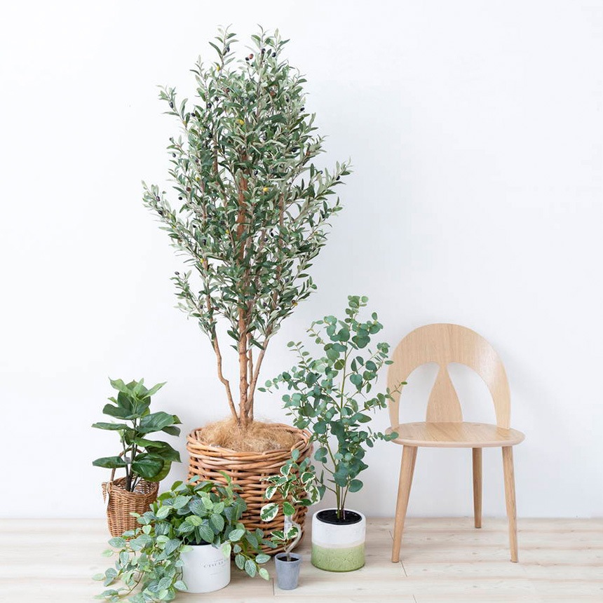 ե꡼ ȭ տʪ ȭդ ݥå 桼 ĥ꡼ݥå ⤵100cm  ͹տʪ 緿 ꥢ   ӥ   ʪä  ̵