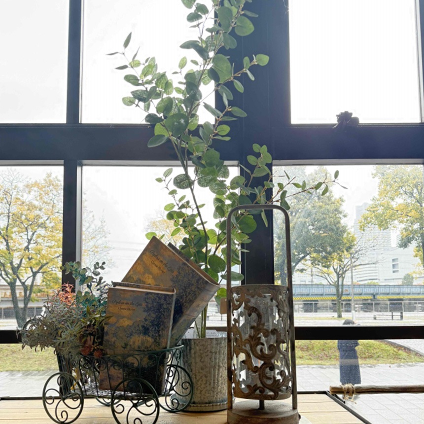 ե꡼ ȭ տʪ ȭդ ݥå 桼 ĥ꡼ݥå ⤵100cm  ͹տʪ 緿 ꥢ   ӥ   ʪä  ̵