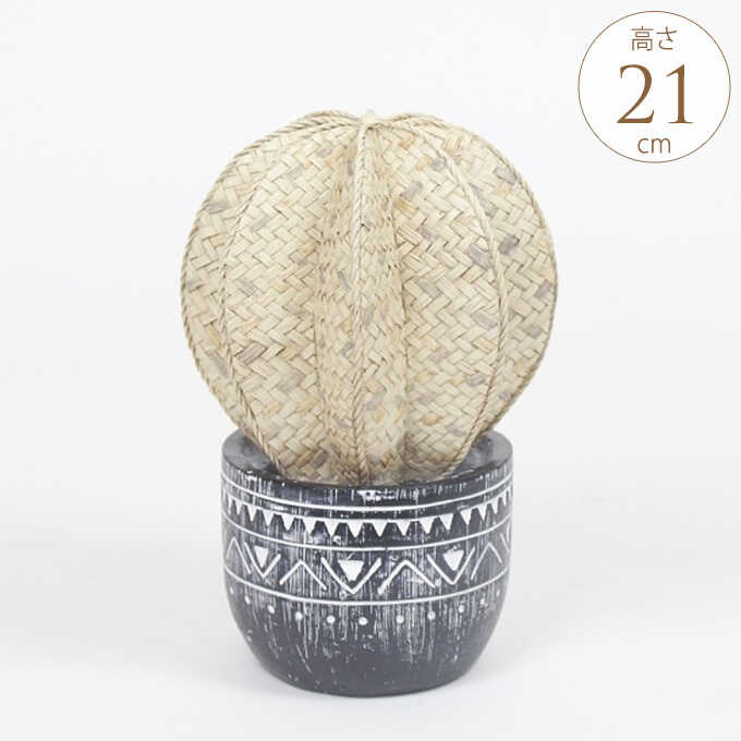 ̱²������ ���ܥƥ� ���֥��� �饦��� �⤵21cm ���������ʪ/����/�����ǥ� ���� ��������/��;�/