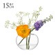 LSA International ե١ FLOWER ե Curved BOUQUET VASE  H15cm Ʃ饹//ץ/饹١/̲/̲ƥꥢ/ե󥸥/̺/ϥɥ㡼/