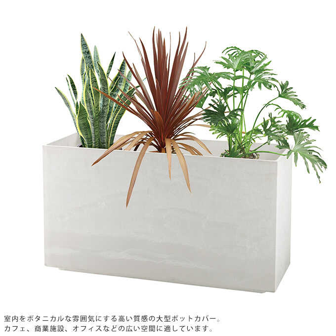 ����Ĵ�¤��� �緿 �ץ�󥿡����С� ��������� 80�� �礭������/�ܥå���/�ͳ�/