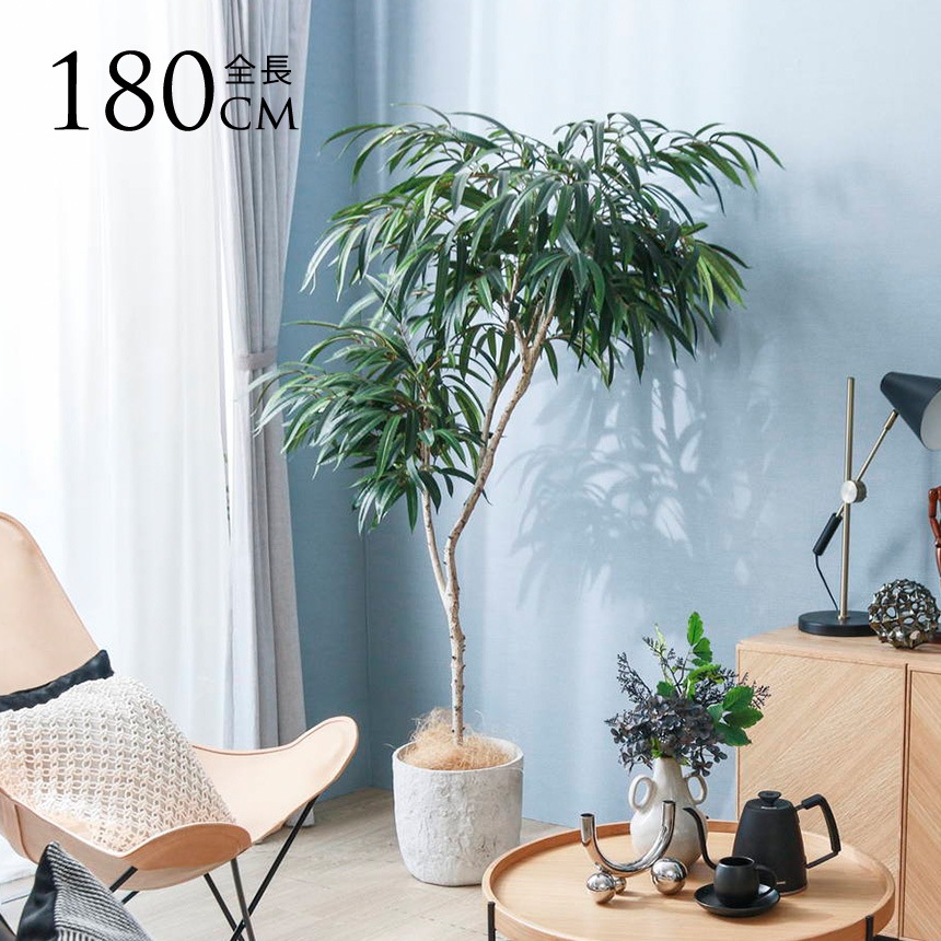 ե꡼ ȭ տʪ ȭդ ݥå 祦ʥ󥴥 ⤵180cm  ͹տʪ 緿 ꥢ   ӥ   ʪä  ̵