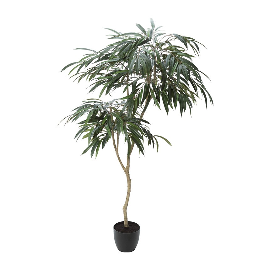 ե꡼ ȭ տʪ ȭդ ݥå 祦ʥ󥴥 ⤵180cm  ͹տʪ 緿 ꥢ   ӥ   ʪä  ̵