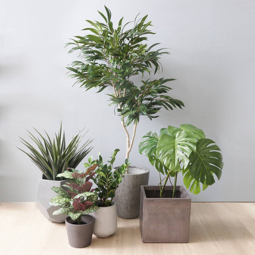 ե꡼ ȭ տʪ ȭդ ݥå 祦ʥ󥴥 ⤵180cm  ͹տʪ 緿 ꥢ   ӥ   ʪä  ̵