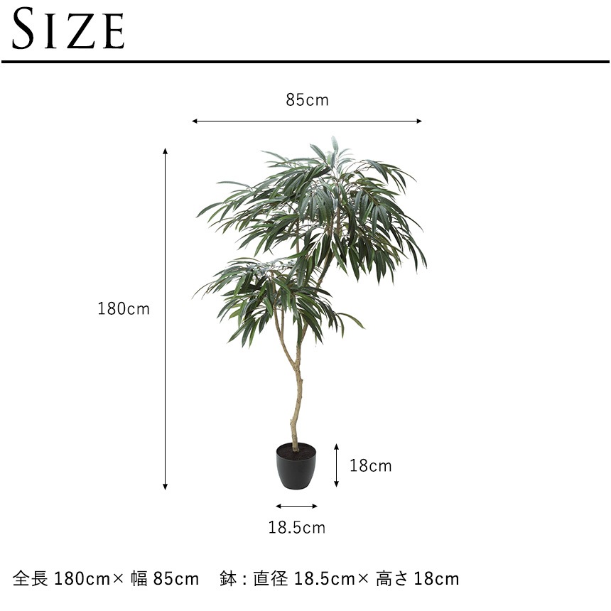 ե꡼ ȭ տʪ ȭդ ݥå 祦ʥ󥴥 ⤵180cm  ͹տʪ 緿 ꥢ   ӥ   ʪä  ̵