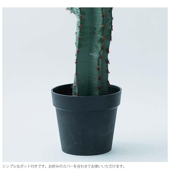 Brown. �֥饦�� �ե��������꡼�� �쥵�ܥƥ� �ݥå� 147cm ���տ�ʪ ���ܥƥ�¤�� �ꥢ�� ���̳�/���꡼�� ¿��/������� �礭�� �緿/����ƥꥢ/�ǥ����ץ쥤/����/¿����ʪ/����/��/