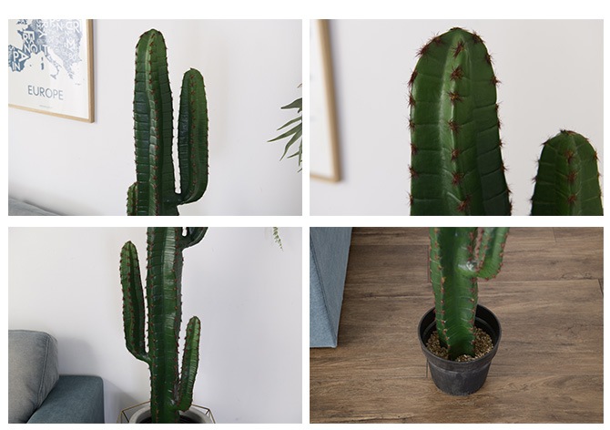 Brown. �֥饦�� �ե��������꡼�� �쥵�ܥƥ� �ݥå� 147cm ���տ�ʪ ���ܥƥ�¤�� �ꥢ�� ���̳�/���꡼�� ¿��/������� �礭�� �緿/����ƥꥢ/�ǥ����ץ쥤/����/¿����ʪ/����/��/