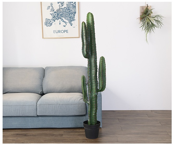 Brown. �֥饦�� �ե��������꡼�� �쥵�ܥƥ� �ݥå� 147cm ���տ�ʪ ���ܥƥ�¤�� �ꥢ�� ���̳�/���꡼�� ¿��/������� �礭�� �緿/����ƥꥢ/�ǥ����ץ쥤/����/¿����ʪ/����/��/