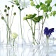 LSA International ե١ FLOWER ե Kiln Vase  H31cm Ʃ饹//ץ/饹١/̲/̲ƥꥢ/ե󥸥/̺/ϥɥ㡼/