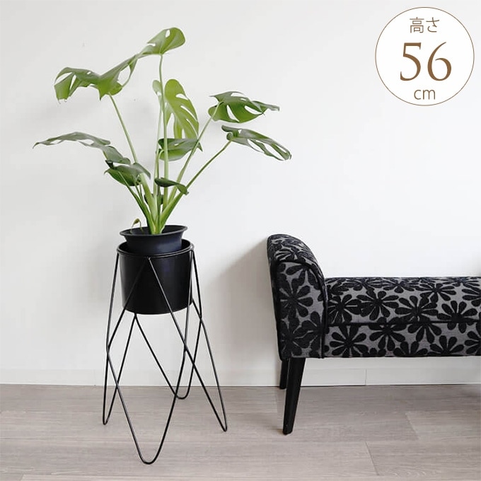 1_000000021030.jpg?1702963596