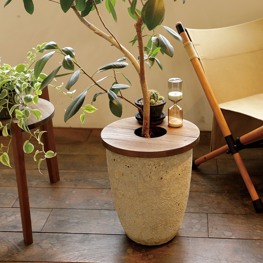 Mash �ޥå��� Jardin �ץ��ĥơ��֥� �������� ľ��30cm  �ץ�󥿡��ơ��֥� ȭ �դ� ŷ���� ������� ����ȭ �ơ��֥� ���� ȭ���С� �� ���� �����ɥơ��֥� ���� ���� ����ƥꥢ �ץ�󥿡� �ե� ��  ������̵����