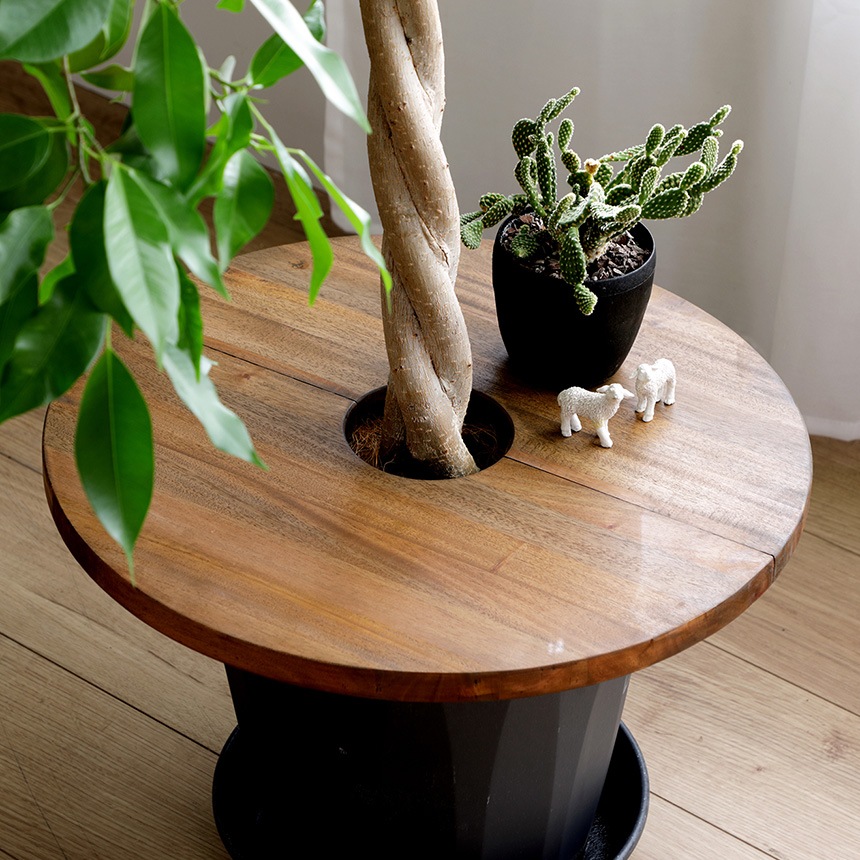 Mash �ޥå��� Jardin �ץ��ĥơ��֥� �������� ľ��30cm  �ץ�󥿡��ơ��֥� ȭ �դ� ŷ���� ������� ����ȭ �ơ��֥� ���� ȭ���С� �� ���� �����ɥơ��֥� ���� ���� ����ƥꥢ �ץ�󥿡� �ե� ��  ������̵����