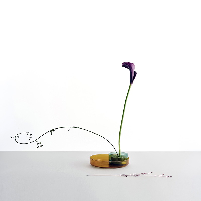 ���å���ɥ�� ���󥶥� ���å� ICHENDORF MILANO ���å���ɥ�եߥ�� ���󥶥󥻥å� �ʥ���С�/�ڥȥ����륰�꡼��/��α���  ��α�� ���饹 ���� ������ ������� �����ꥢ �ߥ�� ���� ͢�� �ե������  ������̵����