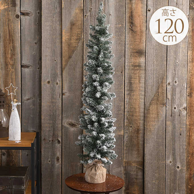 ���ꥹ�ޥ��ĥ꡼ �̲� ����� ���Ρ� �ץ졼�� 120cm ���ꥹ�ޥ��ĥ꡼/��/�ʥ�����/�������/����/����ƥꥢ/