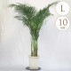 տʪ 쥫䥷 L 10ȭ  ʪ 10ȭ ƥꥢ  ӥ  ٥    ƥ饹 ե ͵   