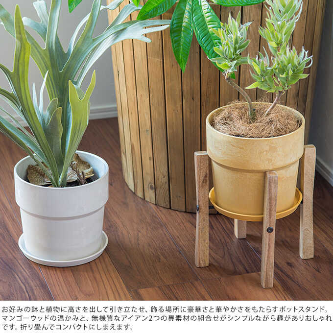 �䤵���� �ޥ󥴡����å� �ץ�󥿡�������� �ե�����ǥ��� �⤵25cm ���� ������� �ץ�󥿡�������ɥ���ƥ�����/�������� ȭ�֤�/�ץ�󥿡�������/���� ���� ��/�����ǥ��å�/�ץ�󥿡���å�/�ץ�󥿡���/�٥��� �ƥ饹/�Х륳�ˡ�/