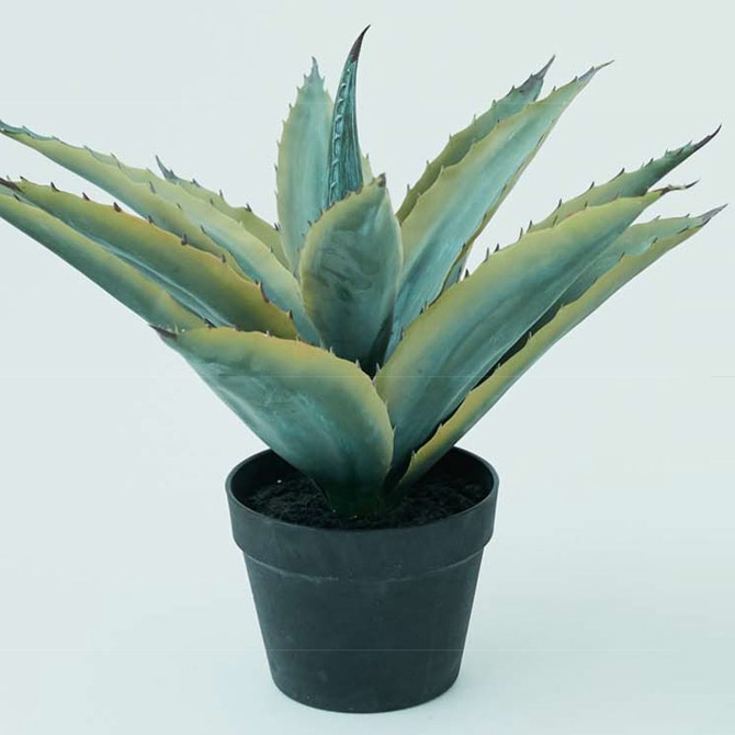 1_000000021134.jpg?1706247812