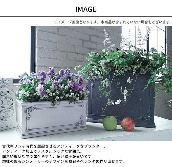 �ץ�󥿡� ������� ���� ����ƥ����� ȭ ���ꥷ���� �ե��ݥå� ���ޥ��� ������� �������� L 30cm��   �ѷ� ������ ����ȭ ���� ȭ���С� �󤻿��� �����ǥ˥� ��ꤢ�� �ͳ� ��   ������̵����