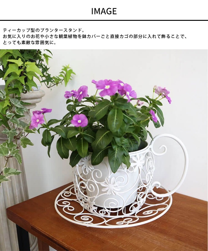 �ץ�󥿡� ������� ����ƥ����� �ץ�󥿡�������� �ƥ������å� �ե�������� ����ȭ���С� ��������/�ץ�󥿡����С�/���ʤ�/����ƥꥢ ���֥���/�ǥ����ץ쥤/����Ź ��ȥ�/������� ���襤��/���տ�ʪ/���� ���� ����/