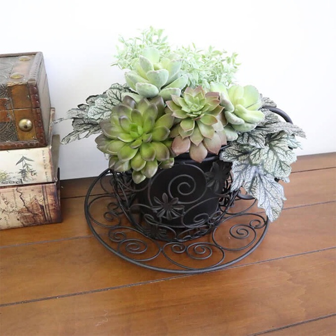 �ץ�󥿡� ������� ����ƥ����� �ץ�󥿡�������� �ƥ������å� �ե�������� ����ȭ���С� ��������/�ץ�󥿡����С�/���ʤ�/����ƥꥢ ���֥���/�ǥ����ץ쥤/����Ź ��ȥ�/������� ���襤��/���տ�ʪ/���� ���� ����/