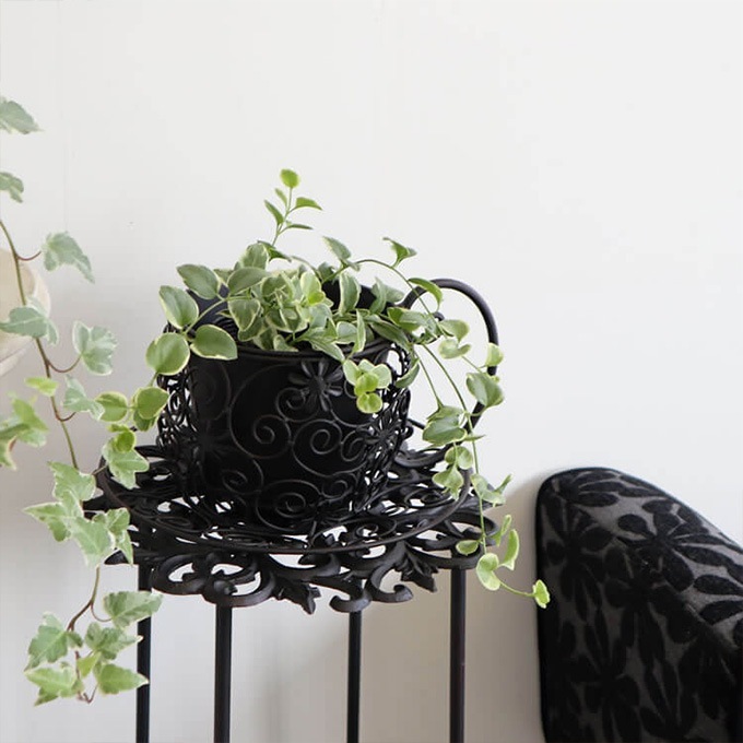 �ץ�󥿡� ������� ����ƥ����� �ץ�󥿡�������� �ƥ������å� �ե�������� ����ȭ���С� ��������/�ץ�󥿡����С�/���ʤ�/����ƥꥢ ���֥���/�ǥ����ץ쥤/����Ź ��ȥ�/������� ���襤��/���տ�ʪ/���� ���� ����/