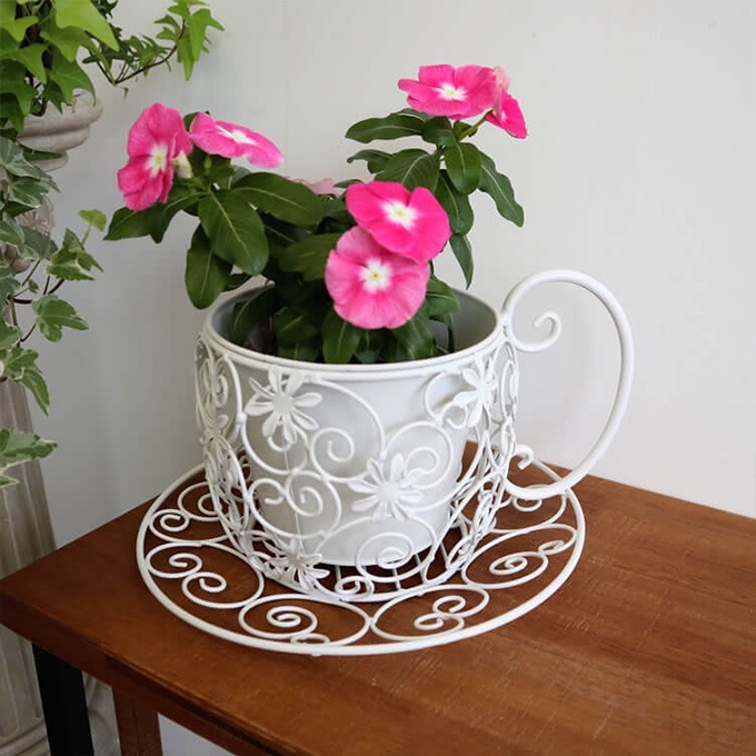 �ץ�󥿡� ������� ����ƥ����� �ץ�󥿡�������� �ƥ������å� �ե�������� ����ȭ���С� ��������/�ץ�󥿡����С�/���ʤ�/����ƥꥢ ���֥���/�ǥ����ץ쥤/����Ź ��ȥ�/������� ���襤��/���տ�ʪ/���� ���� ����/