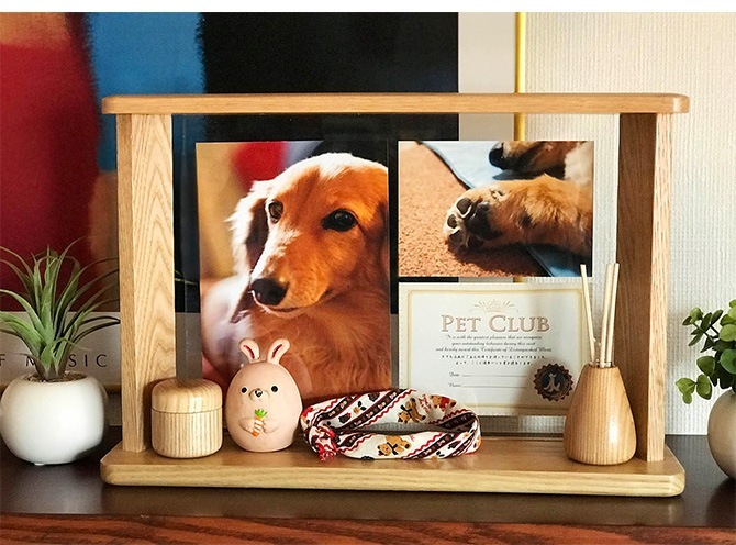 ʩ�� ����� �ߥ� ����ѥ��� ������� �ȶ�Ĵ �̲��� Being Frame���ӡ����󥰥ե졼��  ���� ����� ��² ���� �ڥå� �� ǭ ��� �̿� �ե��ȥե졼�� �ʥ�����