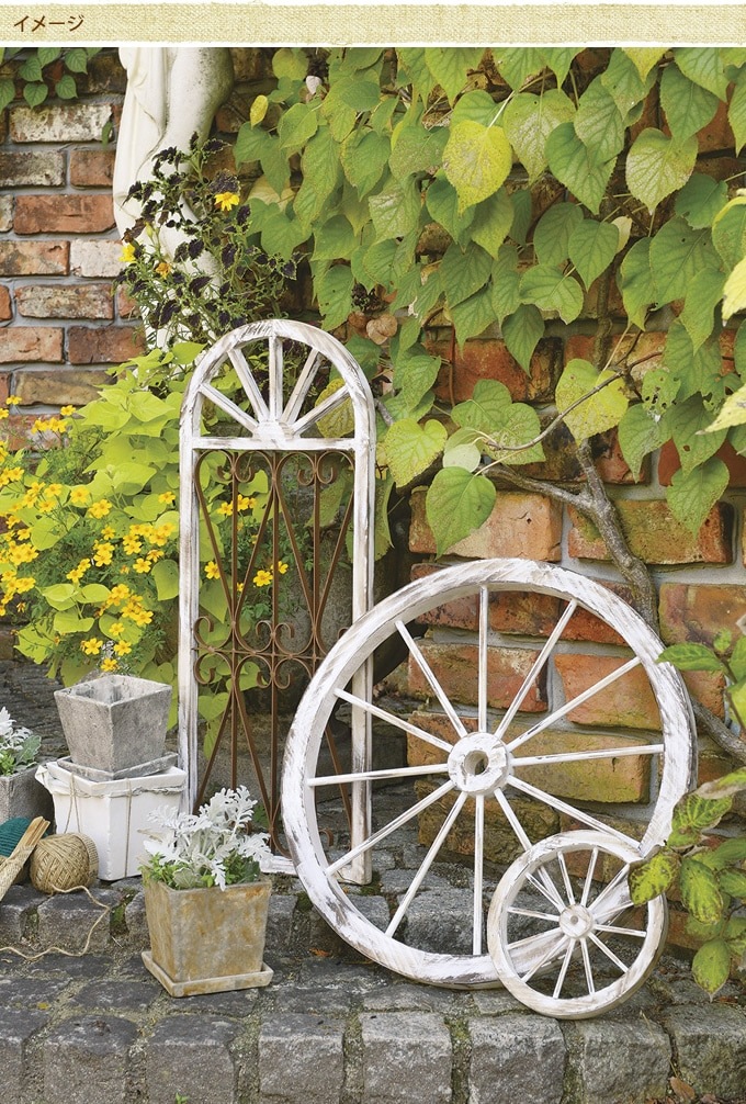 ���������ط������ʥ��ȡ�ľ��40cm ����ƥ�������ʪ������/������졡�������/�ǥ����ץ쥤/����åץǥ�����/�ۥ����뷿/�����ǥ�/�����ǥ˥�/�������ƥꥢ/