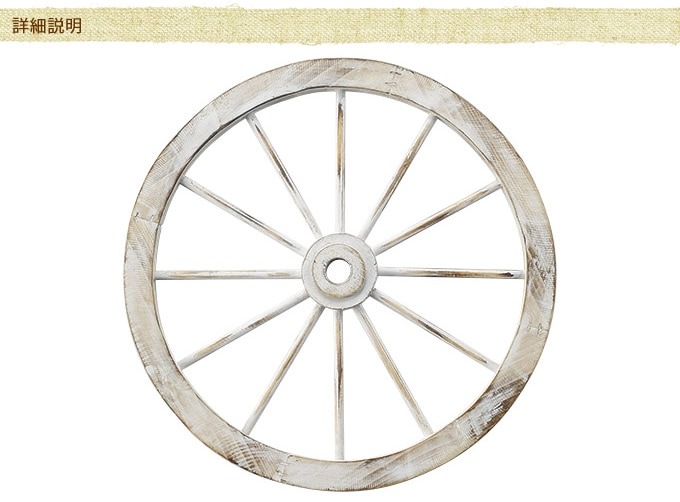 ���������ط������ʥ��ȡ�ľ��40cm ����ƥ�������ʪ������/������졡�������/�ǥ����ץ쥤/����åץǥ�����/�ۥ����뷿/�����ǥ�/�����ǥ˥�/�������ƥꥢ/