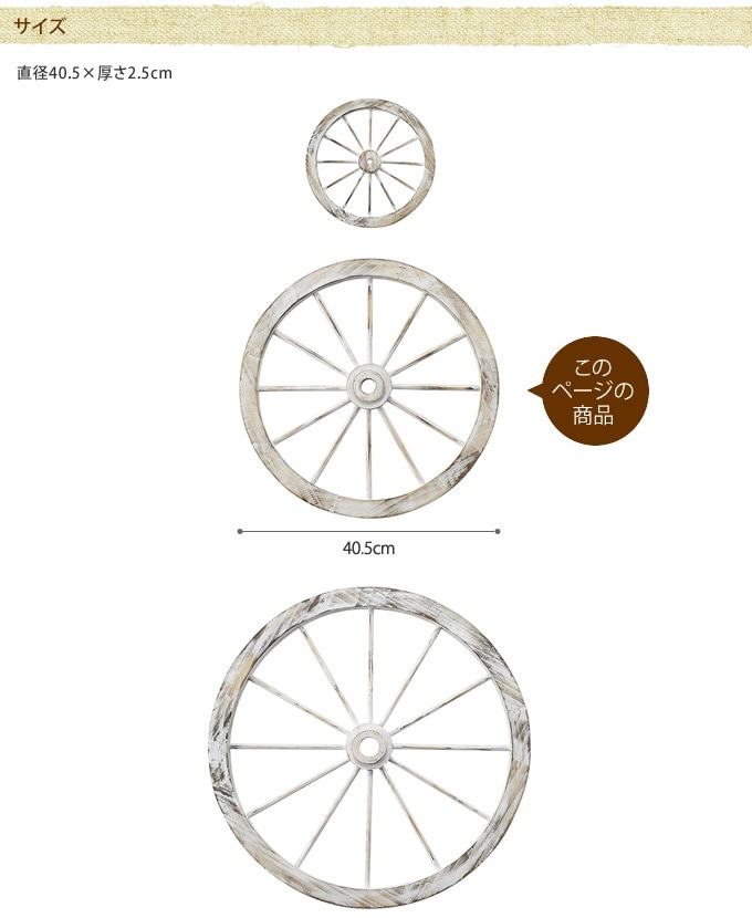 ���������ط������ʥ��ȡ�ľ��40cm ����ƥ�������ʪ������/������졡�������/�ǥ����ץ쥤/����åץǥ�����/�ۥ����뷿/�����ǥ�/�����ǥ˥�/�������ƥꥢ/