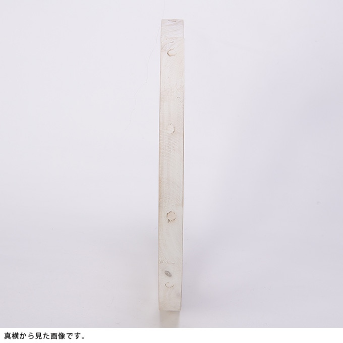 ���������ط������ʥ��ȡ�ľ��40cm ����ƥ�������ʪ������/������졡�������/�ǥ����ץ쥤/����åץǥ�����/�ۥ����뷿/�����ǥ�/�����ǥ˥�/�������ƥꥢ/