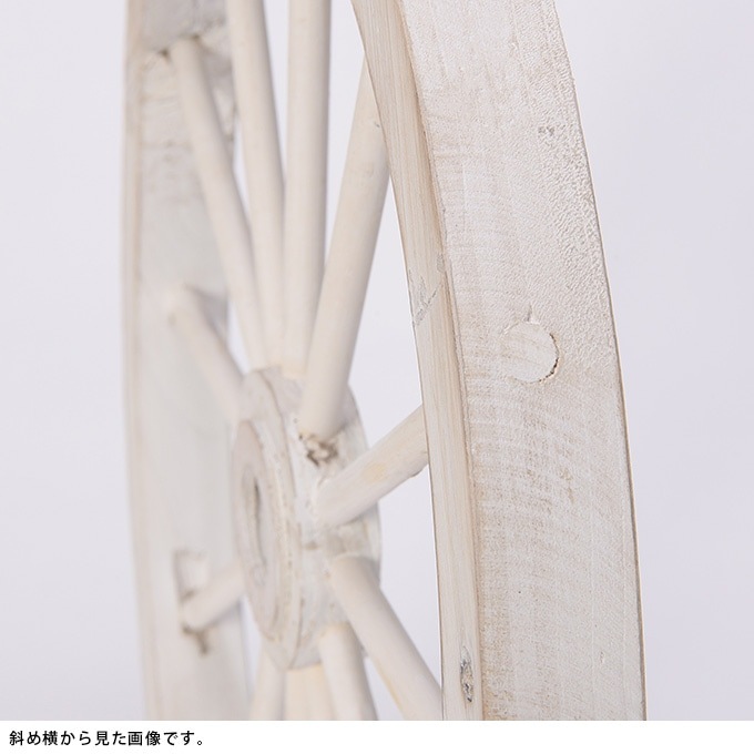 ���������ط������ʥ��ȡ�ľ��40cm ����ƥ�������ʪ������/������졡�������/�ǥ����ץ쥤/����åץǥ�����/�ۥ����뷿/�����ǥ�/�����ǥ˥�/�������ƥꥢ/