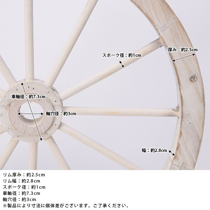 ���������ط������ʥ��ȡ�ľ��40cm ����ƥ�������ʪ������/������졡�������/�ǥ����ץ쥤/����åץǥ�����/�ۥ����뷿/�����ǥ�/�����ǥ˥�/�������ƥꥢ/