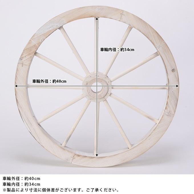 ���������ط������ʥ��ȡ�ľ��40cm ����ƥ�������ʪ������/������졡�������/�ǥ����ץ쥤/����åץǥ�����/�ۥ����뷿/�����ǥ�/�����ǥ˥�/�������ƥꥢ/