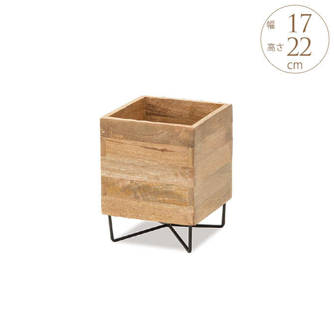 �䤵���� �ޥ󥴡����å� �ץ�󥿡�������� ���塼�� ����� �⤵22cm ���� ������� �ץ�󥿡�������ɥ���ƥ�����/�������� ȭ�֤�/�ץ�󥿡�������/���� ���� ��/�����ǥ��å�/�ץ�󥿡���/�٥���/