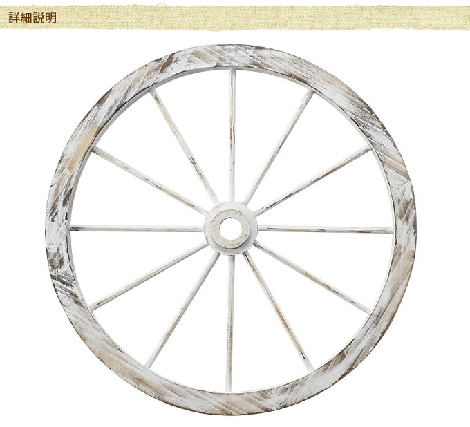 ���������ط������ʥ��ȡ�ľ��50cm ����ƥ�������ʪ������/������졡�������/�ǥ����ץ쥤/����åץǥ�����/�ۥ����뷿/�����ǥ�/�����ǥ˥�/�������ƥꥢ/