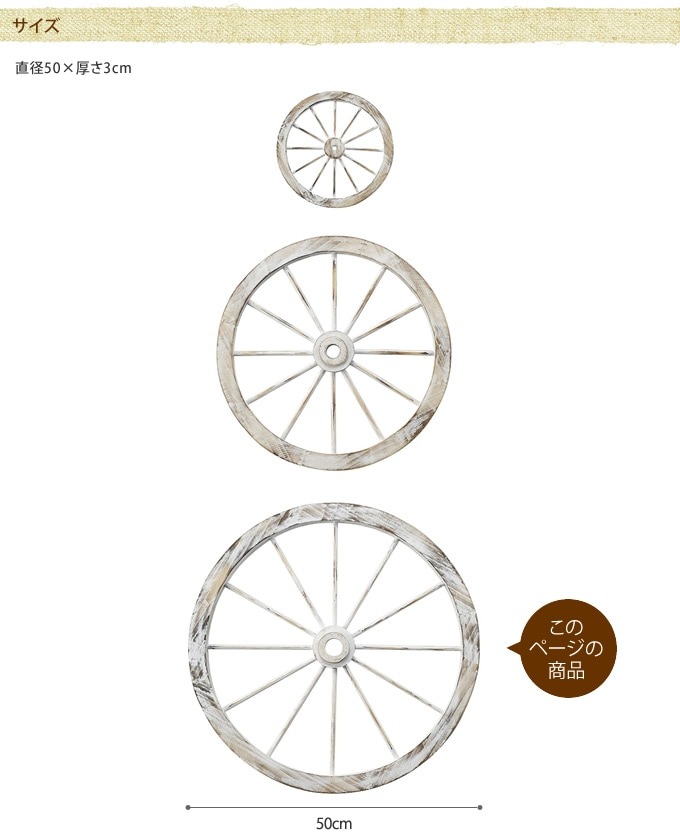 ���������ط������ʥ��ȡ�ľ��50cm ����ƥ�������ʪ������/������졡�������/�ǥ����ץ쥤/����åץǥ�����/�ۥ����뷿/�����ǥ�/�����ǥ˥�/�������ƥꥢ/