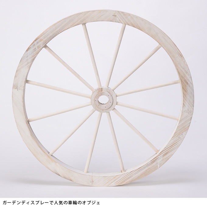 ���������ط������ʥ��ȡ�ľ��50cm ����ƥ�������ʪ������/������졡�������/�ǥ����ץ쥤/����åץǥ�����/�ۥ����뷿/�����ǥ�/�����ǥ˥�/�������ƥꥢ/